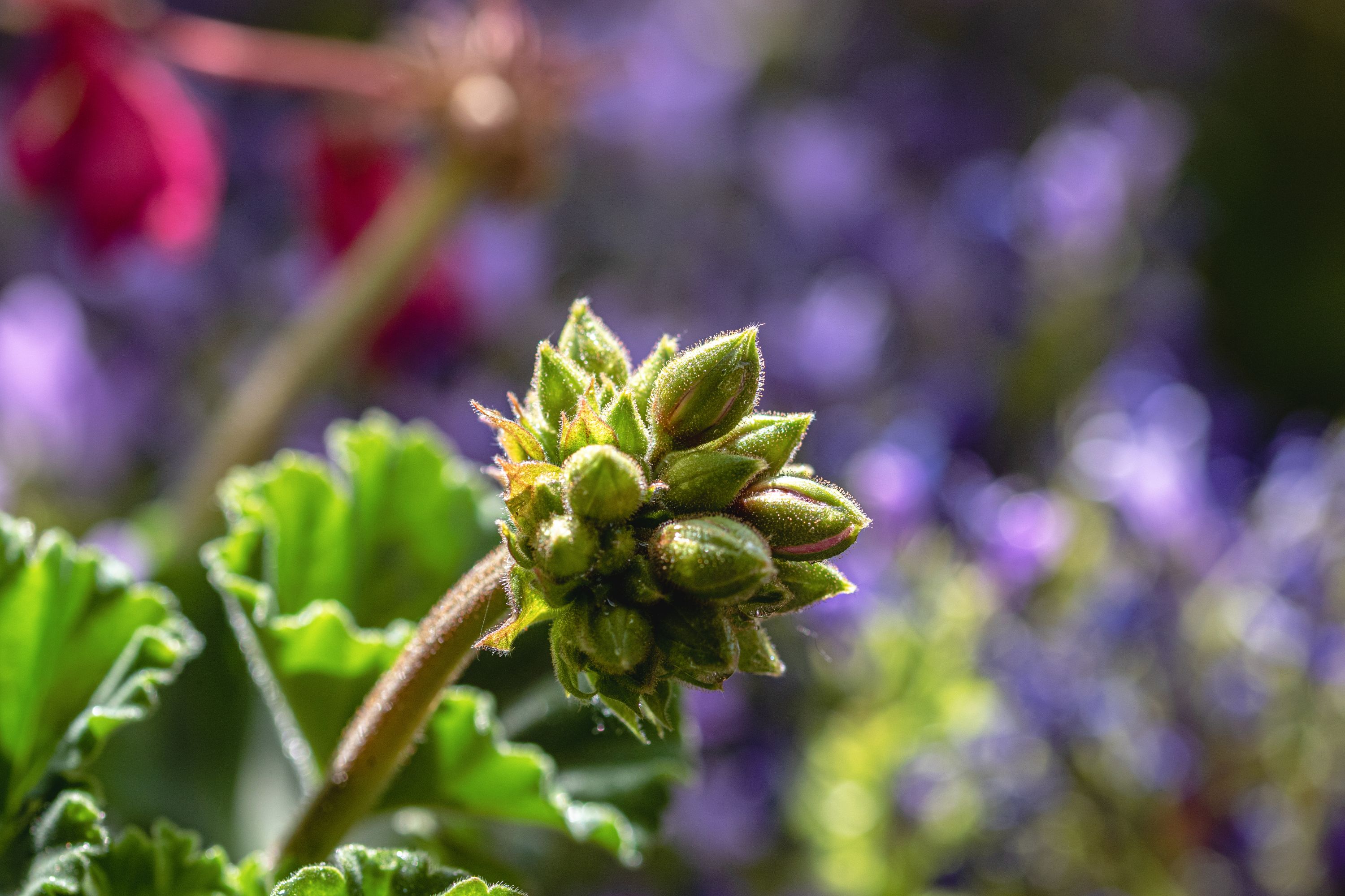 6 Varias junio 2022 3-13062022-0443